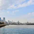 小型船舶登録・クルーザー名義変更