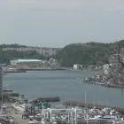 浦賀マリーナ法務レポート